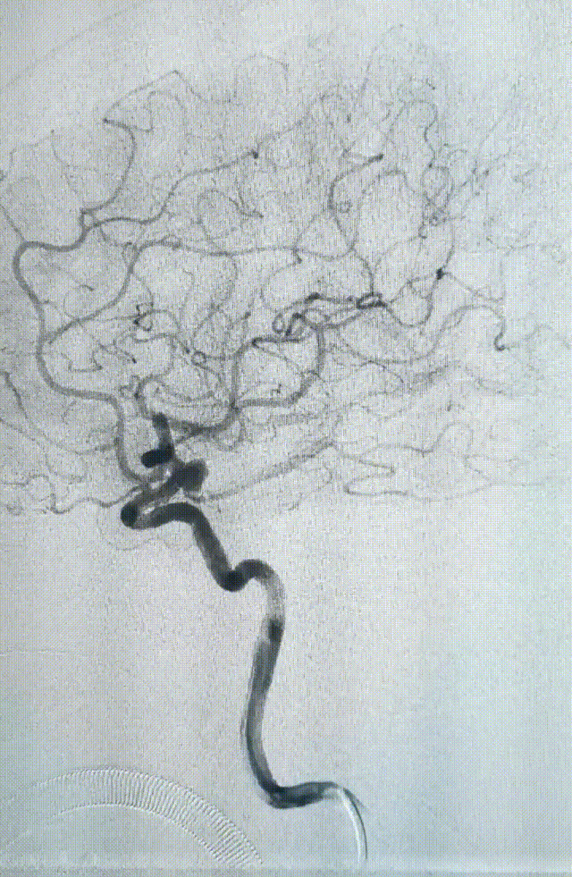 微信图片_2025-05-12_131928_180